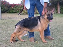 Odin von Salerno